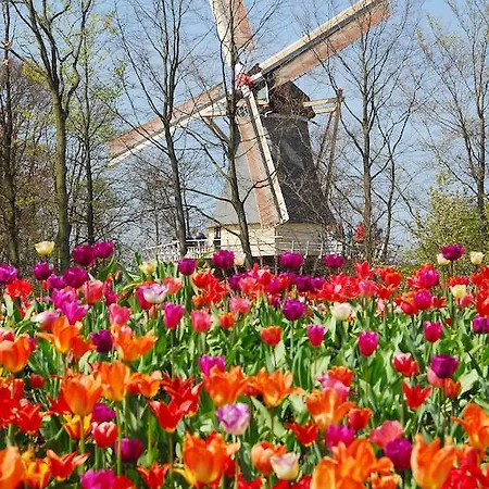 Hotel Ibis Leiderdorp