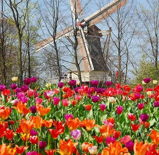 Hotel Ibis Leiderdorp