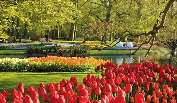 فندق Ibis لايدردورب