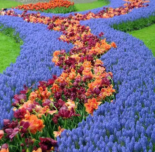 فندق Ibis لايدردورب